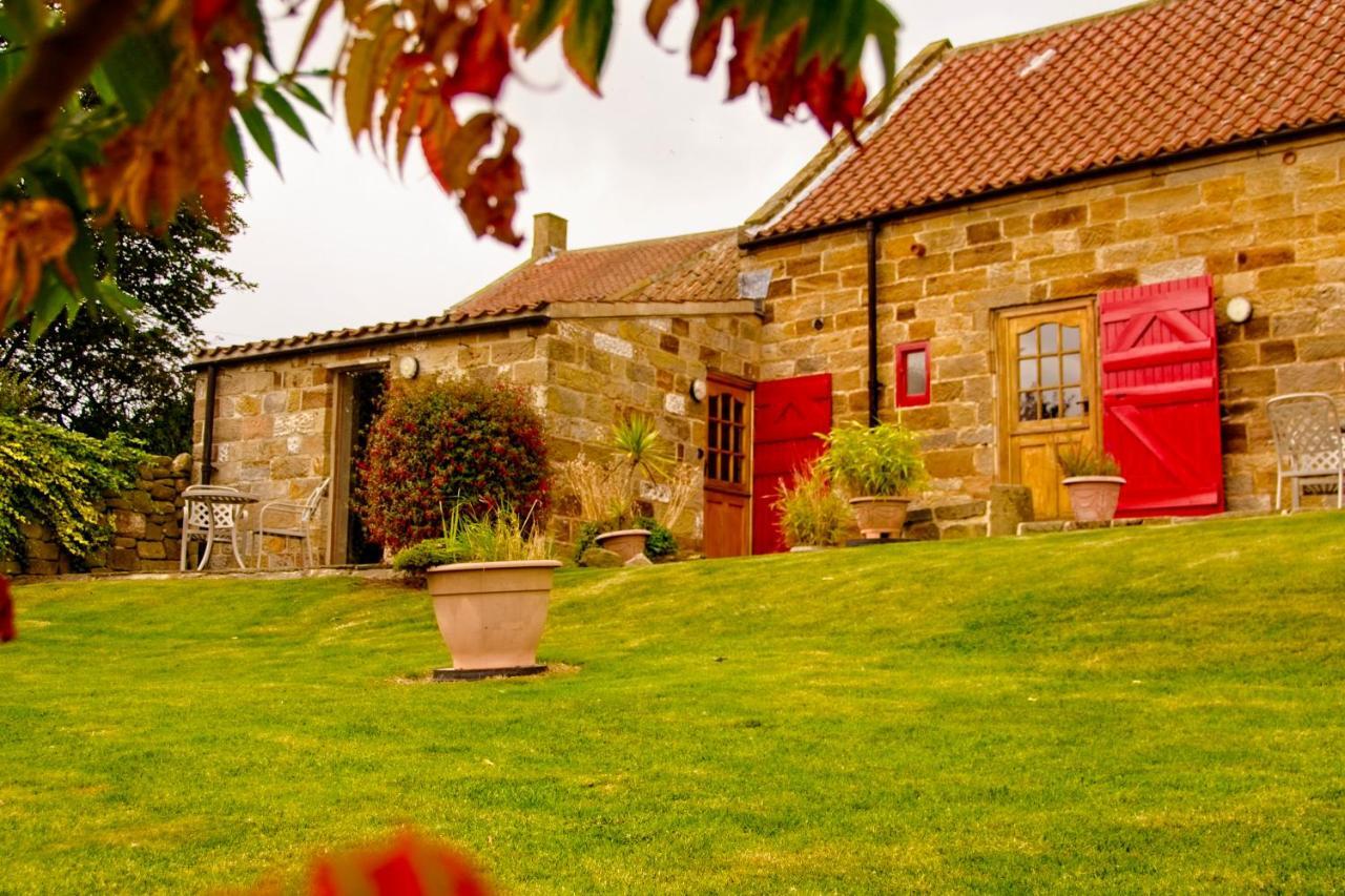 Rosecombe, Borrowby Farm Cottages Staithes Exteriér fotografie