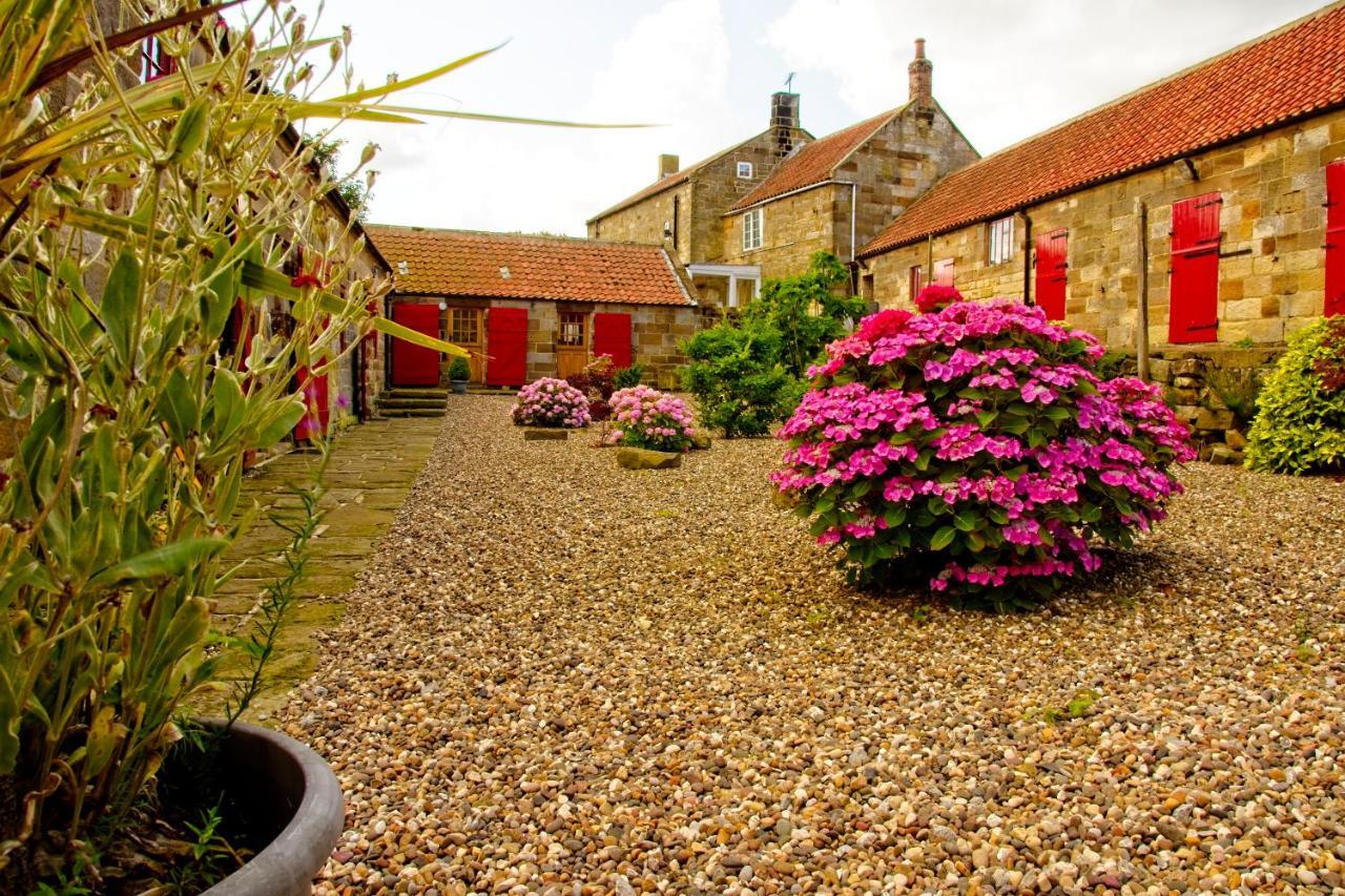 Rosecombe, Borrowby Farm Cottages Staithes Exteriér fotografie