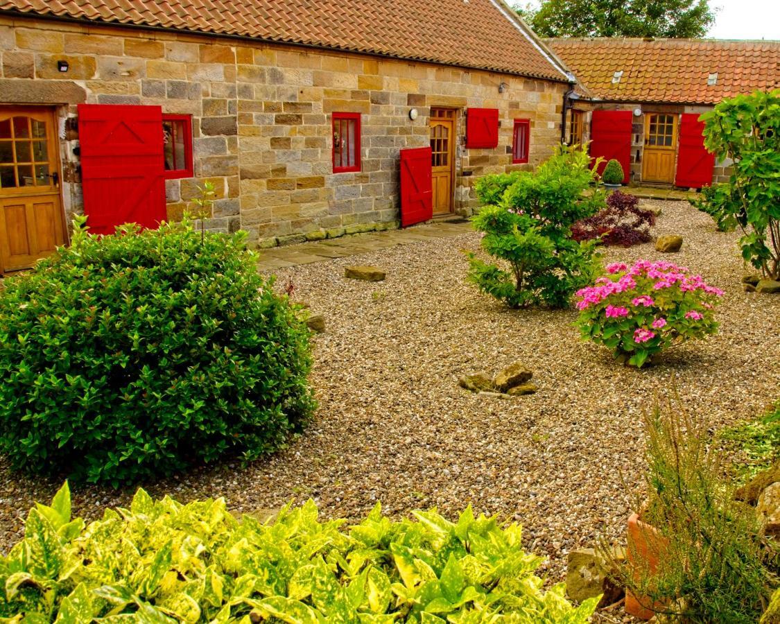 Rosecombe, Borrowby Farm Cottages Staithes Exteriér fotografie