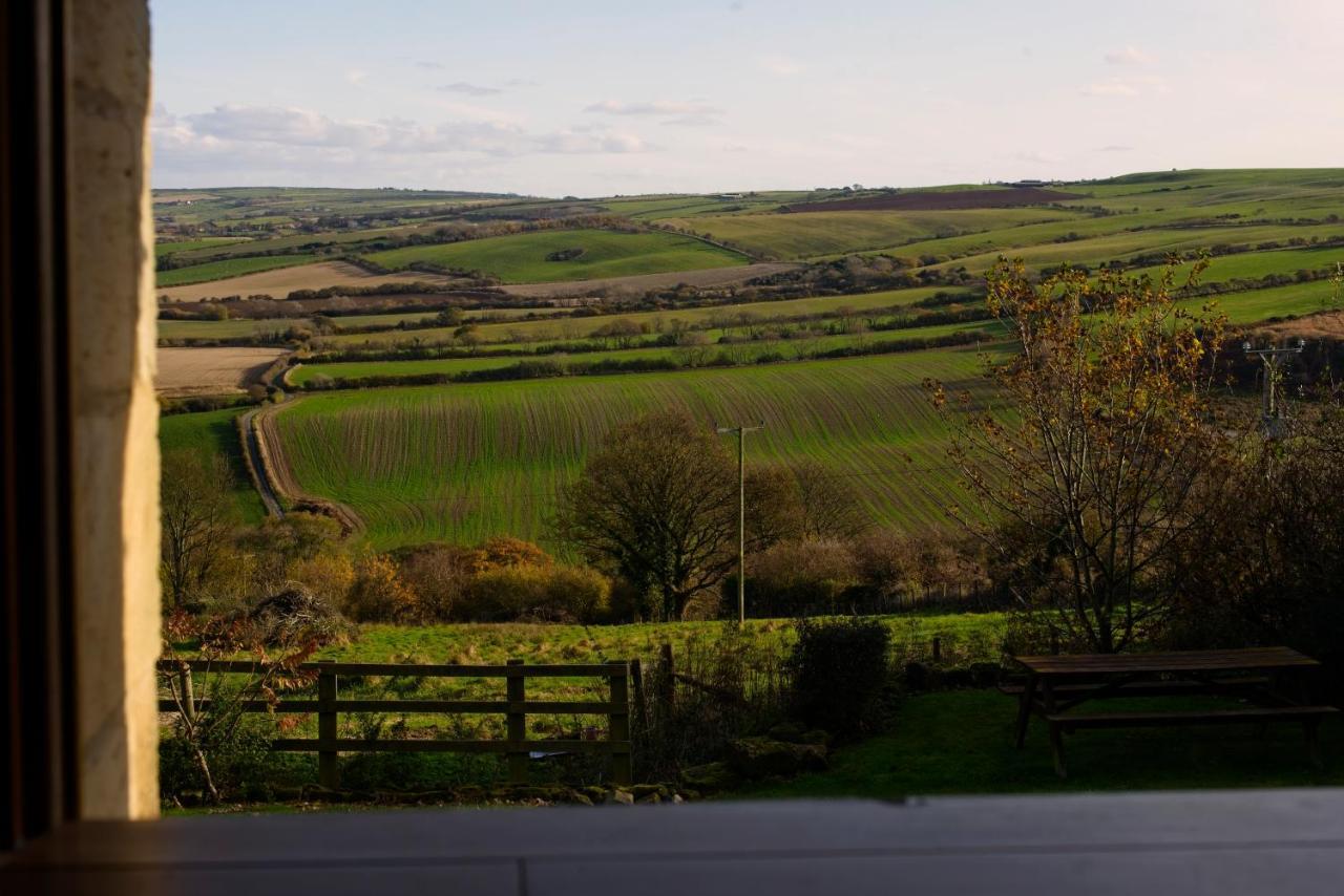 Rosecombe, Borrowby Farm Cottages Staithes Exteriér fotografie